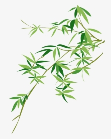 Vector Bamboo Bambusodae Painting Chinese Png Download - Bamboo Leaf Vector Png, Transparent Png, Transparent PNG