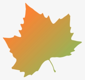 Kattekrab Plane Tree Autumn Leaf Svg Clip Arts - Autumn Leaves Clip Art, HD Png Download, Transparent PNG