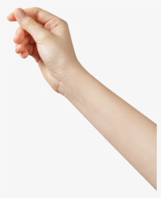 Womans Object Cutouts Pinterest - Hand Holding Photo Png, Transparent Png, Transparent PNG