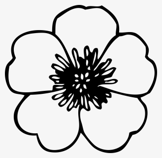 Hand Drawing At Getdrawings - Line Drawing Of Flower, HD Png Download, Transparent PNG