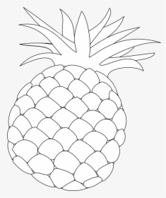 Pineapple, Outline, Food, Fruit, Health, Hawaii, Sweet - Pine Apple Outline Draw, HD Png Download, Transparent PNG