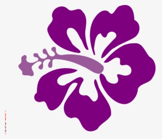 Purple Hawaiian Flower Clipart, HD Png Download, Transparent PNG