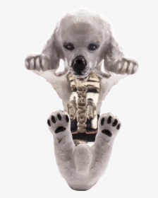 Poodle Hug Ring - Companion Dog, HD Png Download, Transparent PNG