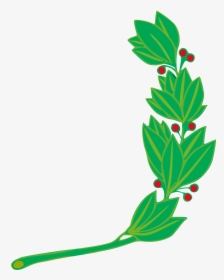 Plant,flora,leaf - Peru Coat Of Arms, HD Png Download, Transparent PNG