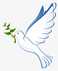 Dove, Flying, Peace, Olive, Branch, Symbol, Pigeon - Paloma De La Paz Png, Transparent Png, Transparent PNG