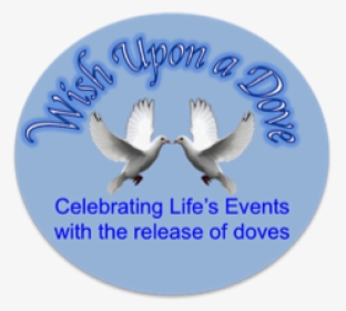 Wish Upon A Dove - Seabird, HD Png Download, Transparent PNG