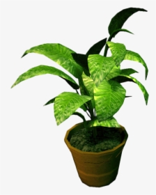 Clip Art Potted Plants Png - Small Potted Plant Transparent, Png Download, Transparent PNG