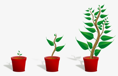 In Short, They Simply Don T Want To Entertain The Possibility - Getting To Know Plants, HD Png Download, Transparent PNG
