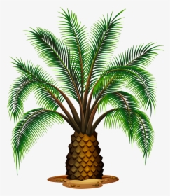 Small Palm Tree Transparent Picture - Palm Oil Tree Vector, HD Png Download, Transparent PNG