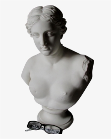 Bust, HD Png Download, Transparent PNG