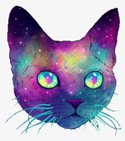 Cat And Galaxy Image - Cat Galaxy Png, Transparent Png, Transparent PNG
