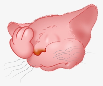 Pink Cat Emoji Messages Sticker-6 - Illustration, HD Png Download, Transparent PNG