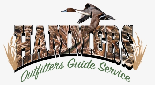Hammers Outfitters Guide Service - Pintail, HD Png Download, Transparent PNG