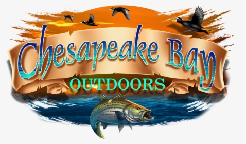 Chesapeake Bay Charter Fishing And Sea Duck Hunting - Pull Fish Out Of Water, HD Png Download, Transparent PNG