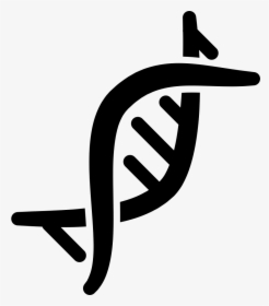 Gene System - Genetics Icon, HD Png Download, Transparent PNG