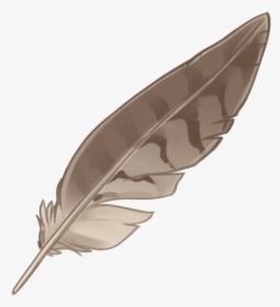 Eagle Feather Law Portable Network Graphics Native - Native American Feathers With Transparent Background, HD Png Download, Transparent PNG