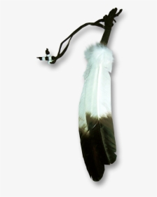 Eagle Feather Png - Eagle Feather Transparent Background, Png Download, Transparent PNG