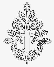Acorn Drawing Oak Leaf - Oak Heraldry, HD Png Download, Transparent PNG