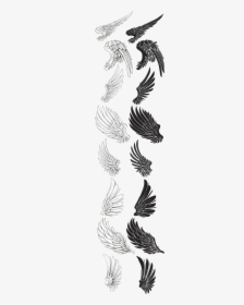 Eagle Feather Drawing Wings Brush Free Transparent - Eagle Wings Drawing, HD Png Download, Transparent PNG