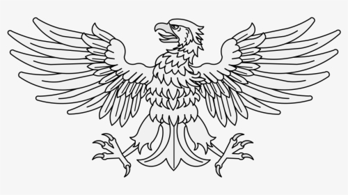 Transparent Eagle Feather Png - Bald Eagle, Png Download, Transparent PNG