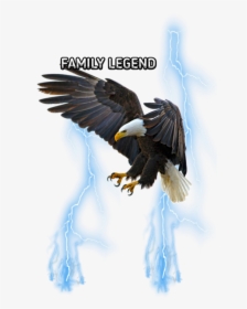 #freetoedit#eemput #png #eagle #lightning #blue - Flying Eagle Drawing Colored, Transparent Png, Transparent PNG