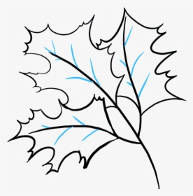 How To Draw Fall Oak Leaves - Fall Drawing, HD Png Download, Transparent PNG