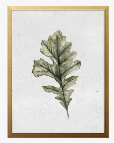 Oak Leaf Art Print - Gambel Oak, HD Png Download, Transparent PNG
