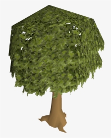 Old School Runescape Wiki - Osrs Tree, HD Png Download, Transparent PNG