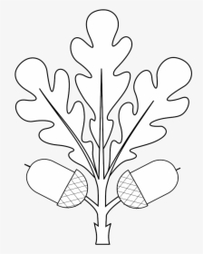 Oak Tree Png Clipart Heraldry, Transparent Png, Transparent PNG