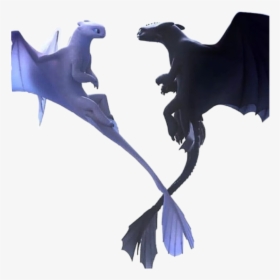 #httyd #light Fury #night Fury #toothless #dragon - Httyd Toothless And Light Fury, HD Png Download, Transparent PNG