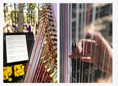 Harpist For Weddings, Events, Or Any Occasion - Art, HD Png Download, Transparent PNG