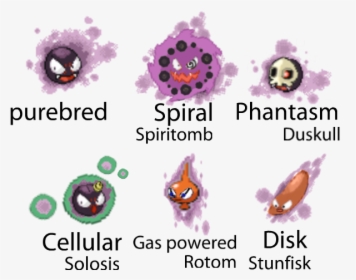 Gastly Variations Also Known As Fused Ghost Babies - Invertebrate, HD Png Download, Transparent PNG