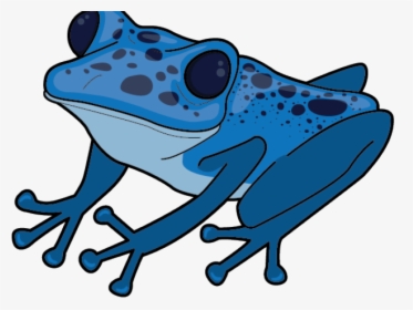 Transparent Blue Frog Png - Poison Dart Frog Clipart, Png Download, Transparent PNG