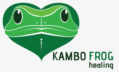 History Science Of Kambo - Frog Dmt Kambo Transparent, HD Png Download, Transparent PNG