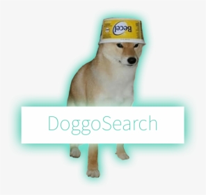 Dog, HD Png Download, Transparent PNG
