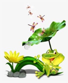 Frog Clipart , Png Download - Bullfrog On A Lily Pad Drawing, Transparent Png, Transparent PNG