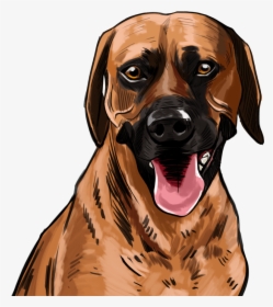 Sunny - Dog Yawns, HD Png Download, Transparent PNG