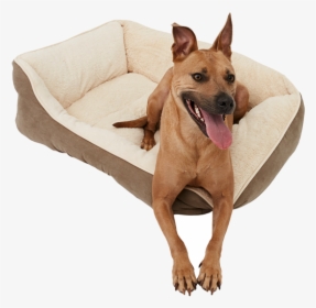 Black Friday Deals Frisco Pet Bed - Dog Yawns, HD Png Download, Transparent PNG