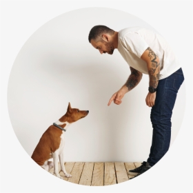 Image Icon - Bull Terrier, HD Png Download, Transparent PNG