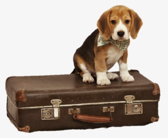 Transparent Rolling Suitcase Clipart - Beagle Suitcase, HD Png Download, Transparent PNG