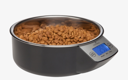 Cat Food Bowl Png - Dog, Transparent Png, Transparent PNG