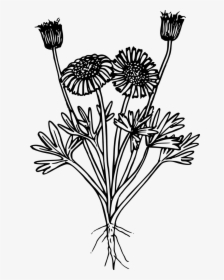 Wildflower Png Black And White, Transparent Png, Transparent PNG