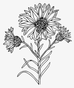 Coloring Page, HD Png Download, Transparent PNG