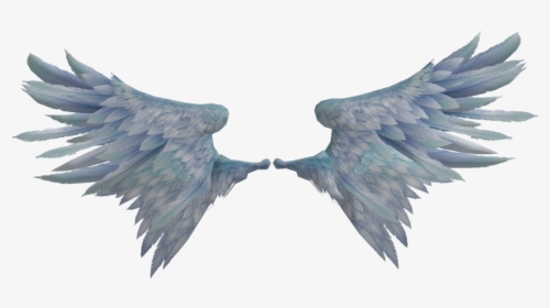 Transparent Wings Realistic, HD Png Download, Transparent PNG