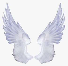Free Angel Wings Transparent Background - Angel Transparent Background Wing Png, Png Download, Transparent PNG