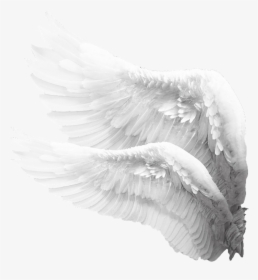 #freetoedit #wings #white #mysticker #picsart - Angel Wings Png Side, Transparent Png, Transparent PNG