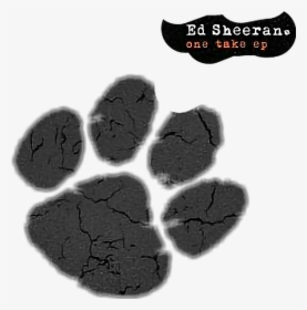 #edsheeran #onetakeep #albumedsheeran #ed #sheeran - Ed Sheeran Cat Paw, HD Png Download, Transparent PNG