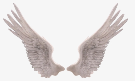 Feather - Ailes D Ange Realiste, HD Png Download, Transparent PNG