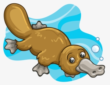 Cute Platypus Clipart, HD Png Download, Transparent PNG