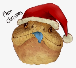 Chrismas Beak Owl - Blue Tongue Skink Drawing, HD Png Download, Transparent PNG